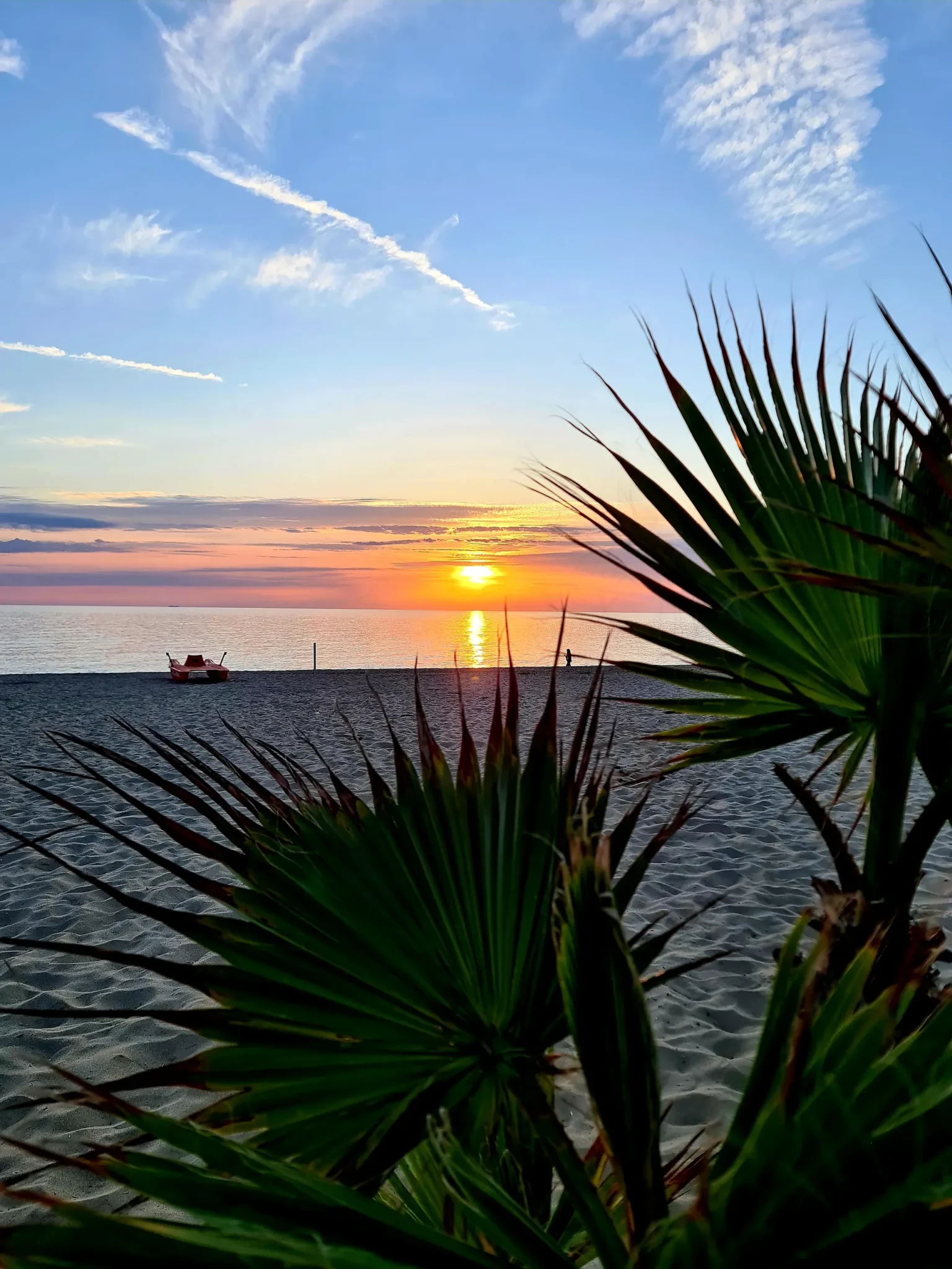 Il tramonto sul mare di Viareggio tra le foglie di una palma, a maggio